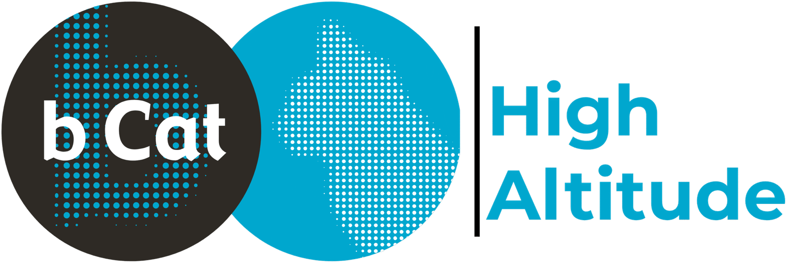 BCat_High Altitude_Logo